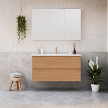 Elemental Plus 1200mm Freestanding Single Vanity with Removable Kickboard